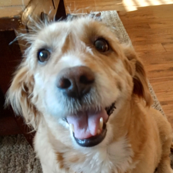 Meet your Posher, Paul - Picture 1 of 1